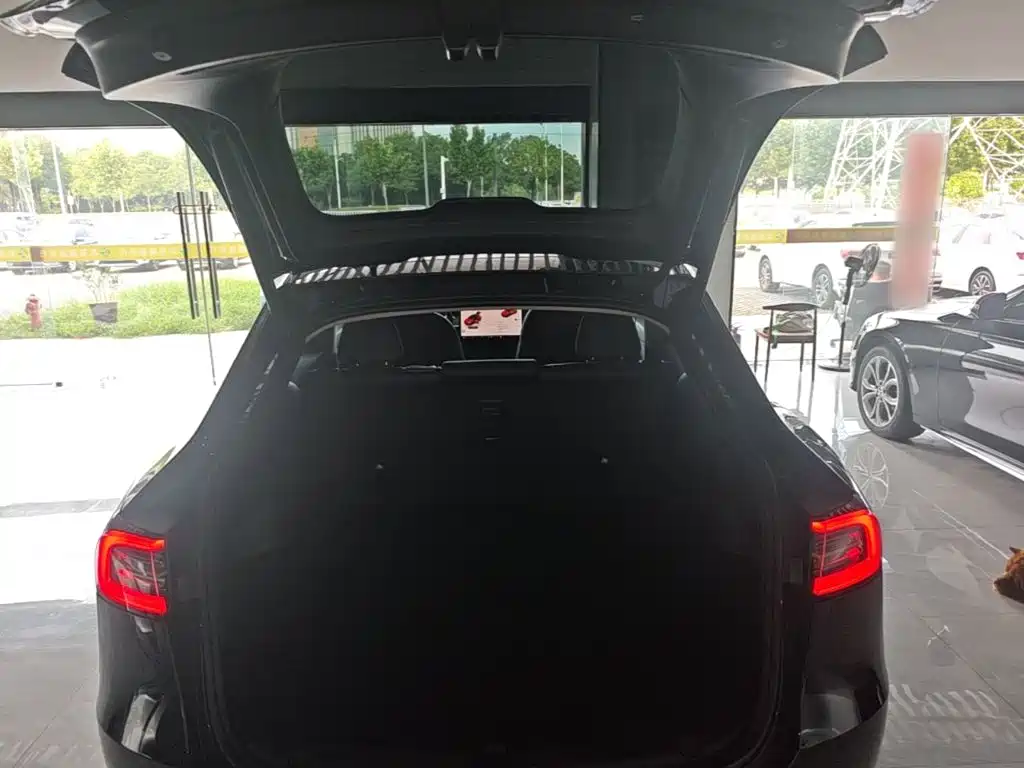 Tesla Model Y — миниатюра 19