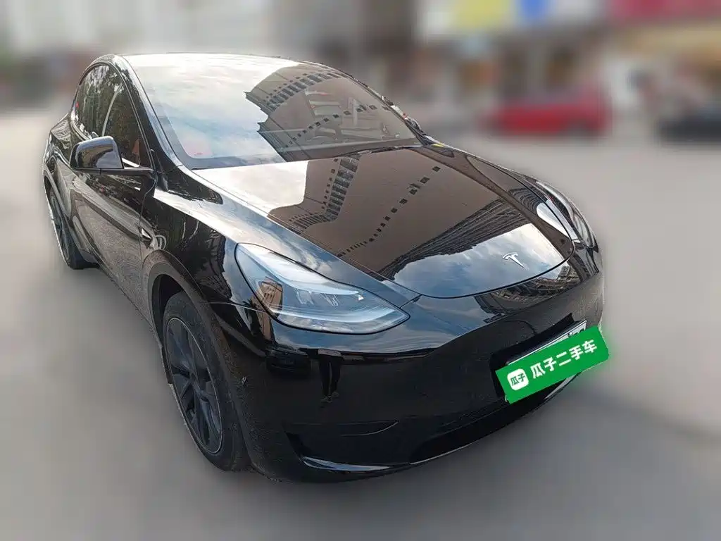 Tesla Model Y — миниатюра 25