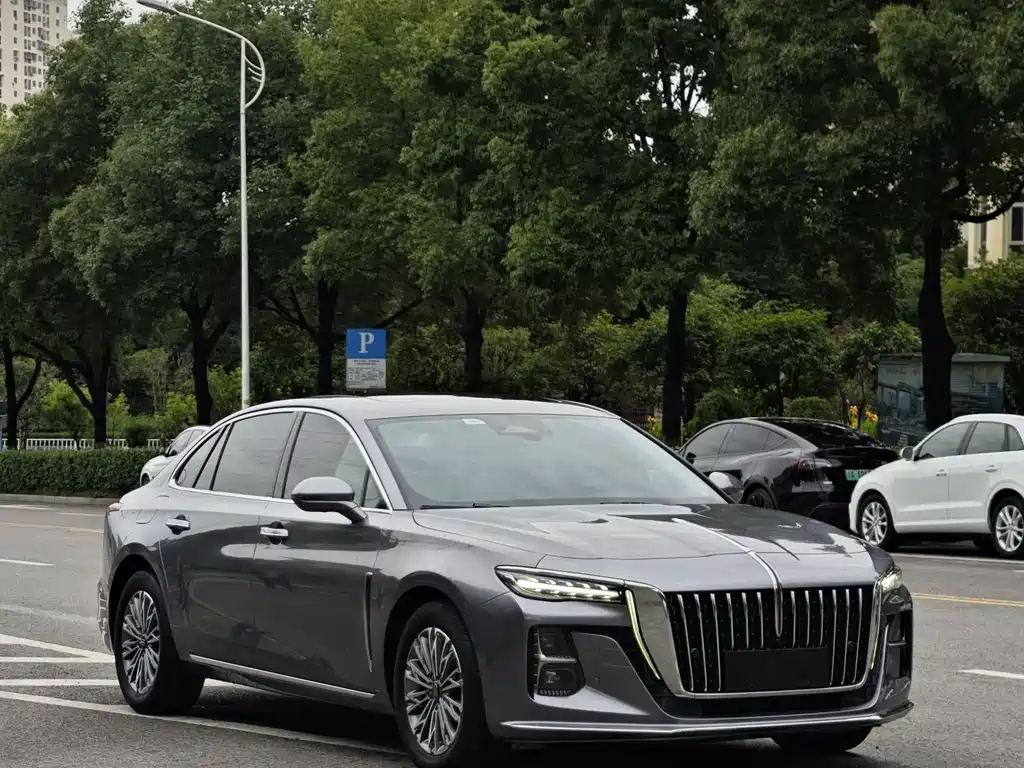 Hongqi H5 2023 2.0T AT