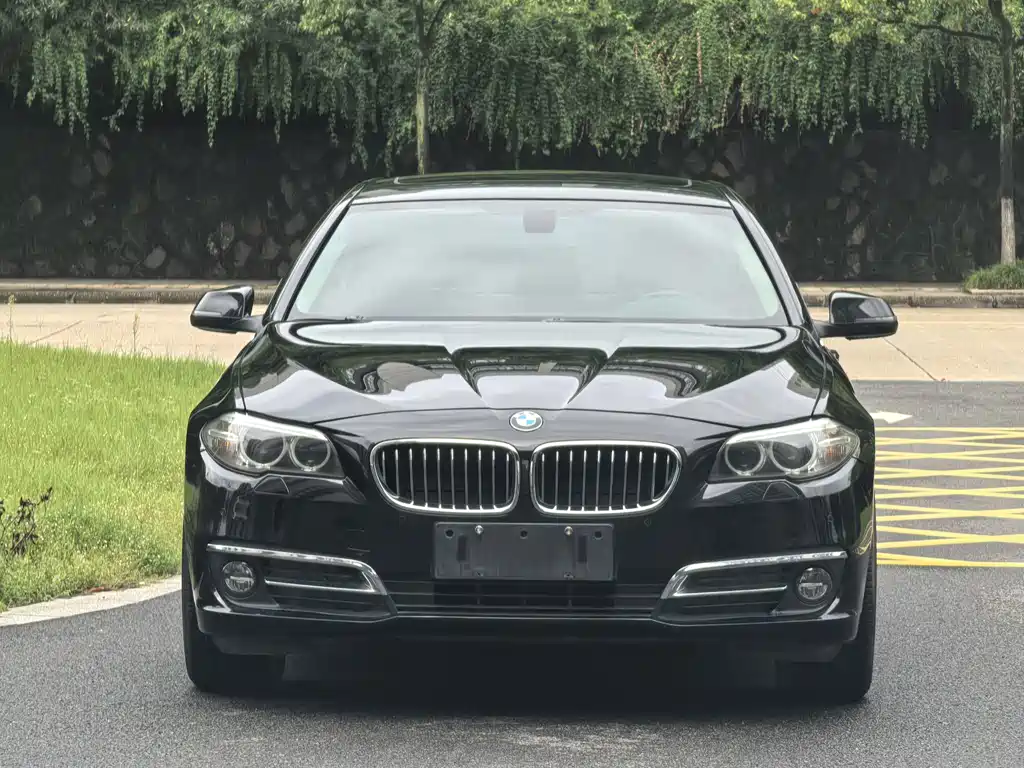 BMW 5 Series — миниатюра 2