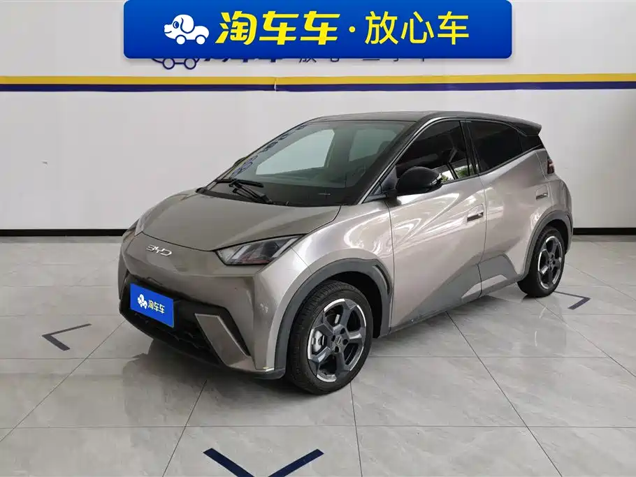 Byd Seagull 2024