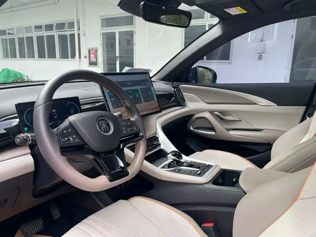 BYD Pro New Energy — миниатюра 6