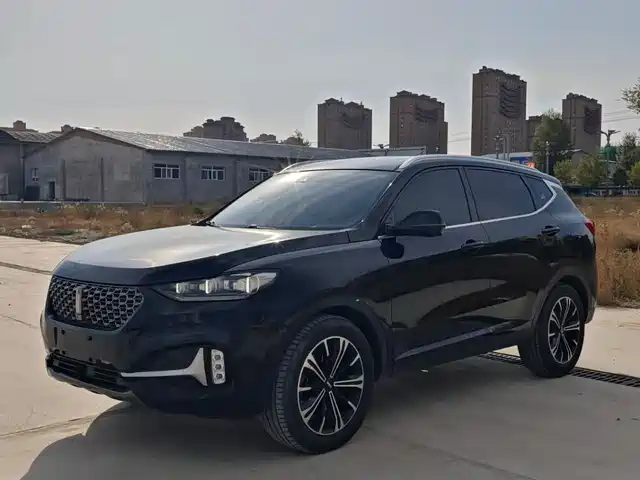 WEI PAI WEI BRAND VV6 2021