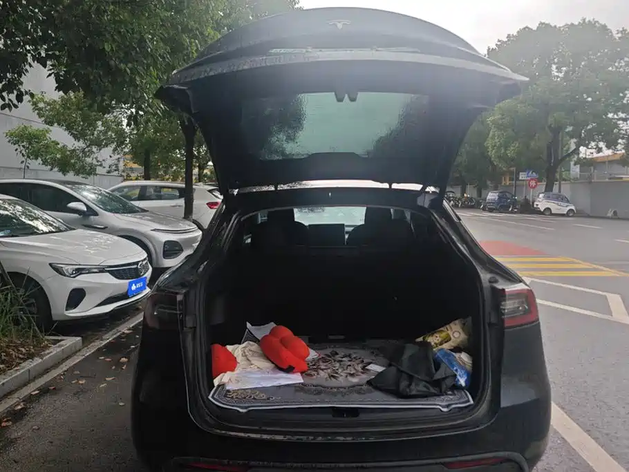 Tesla Model Y — миниатюра 4