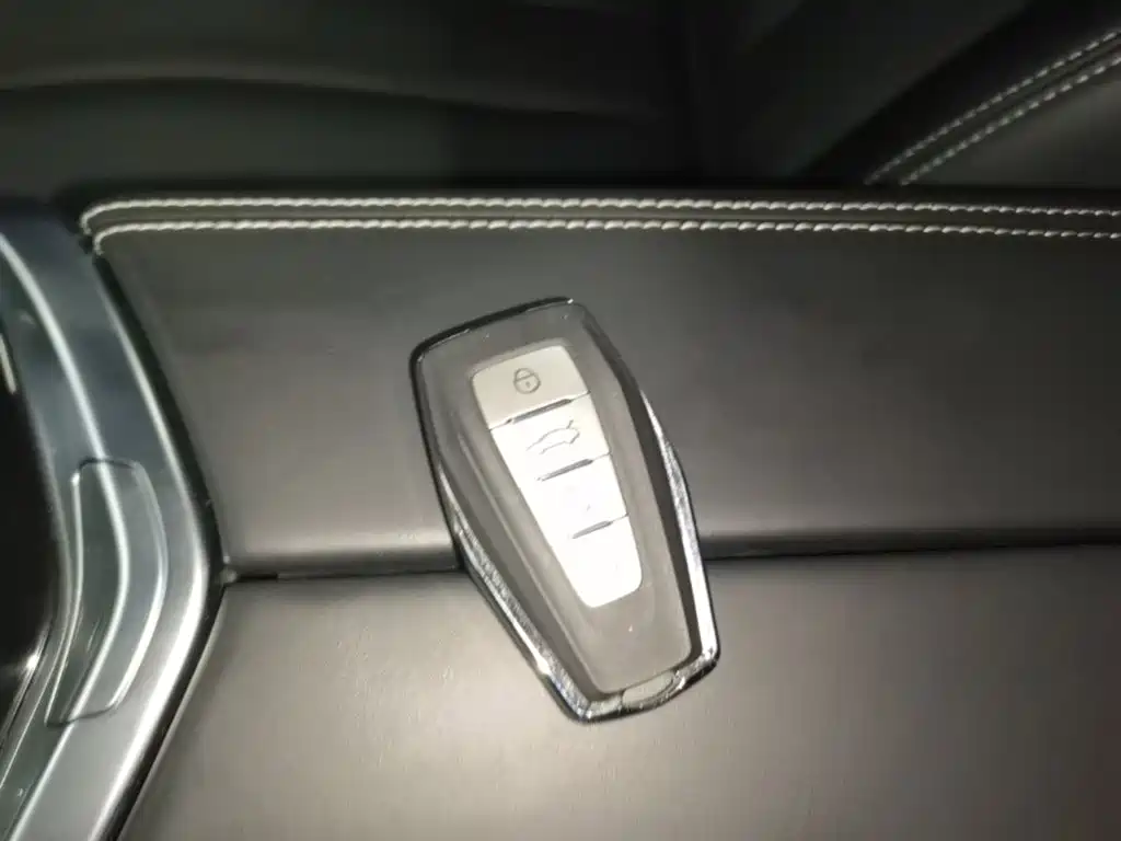 Geely Borui Hybrid — миниатюра 9
