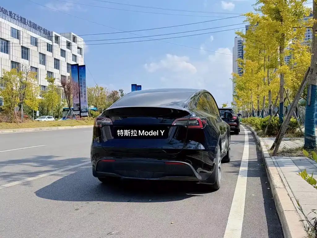 Tesla Model Y — миниатюра 9