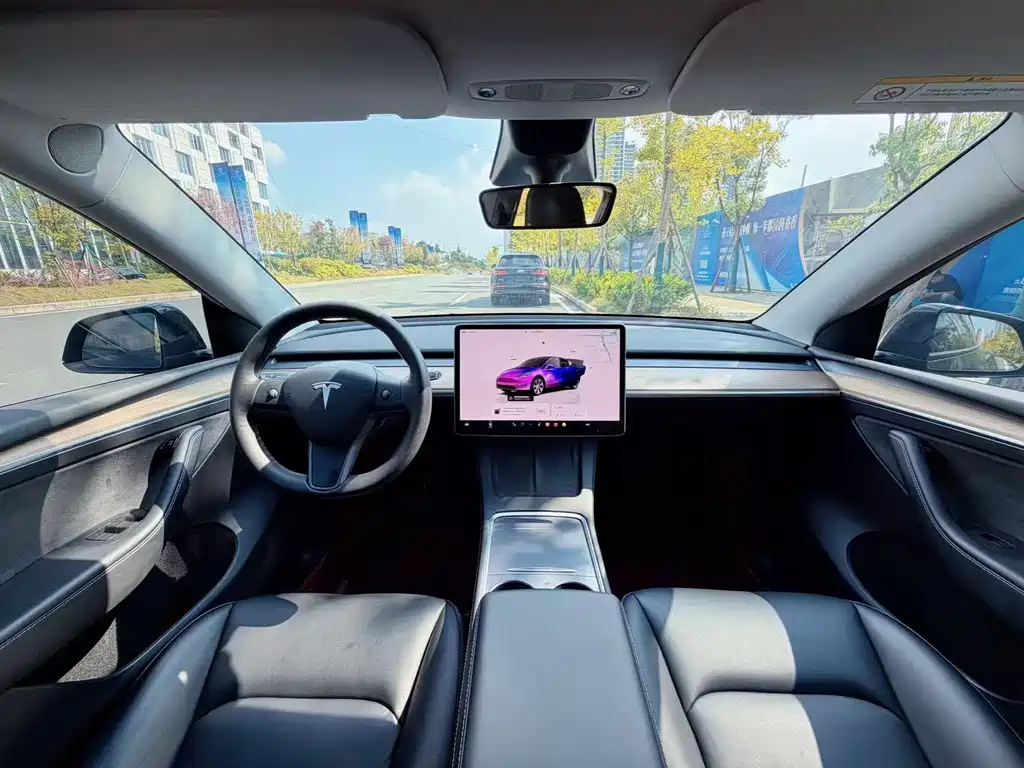 Tesla Model Y — миниатюра 5