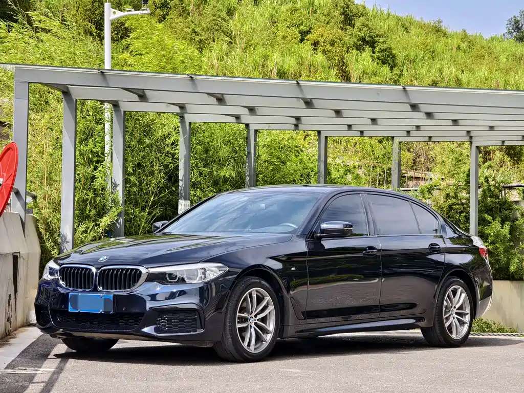 BMW 5 Series 2019