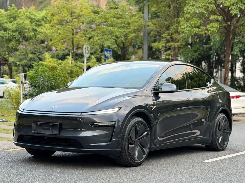Tesla Model Y — миниатюра 3