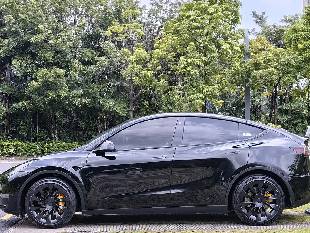 Tesla Model Y — миниатюра 4