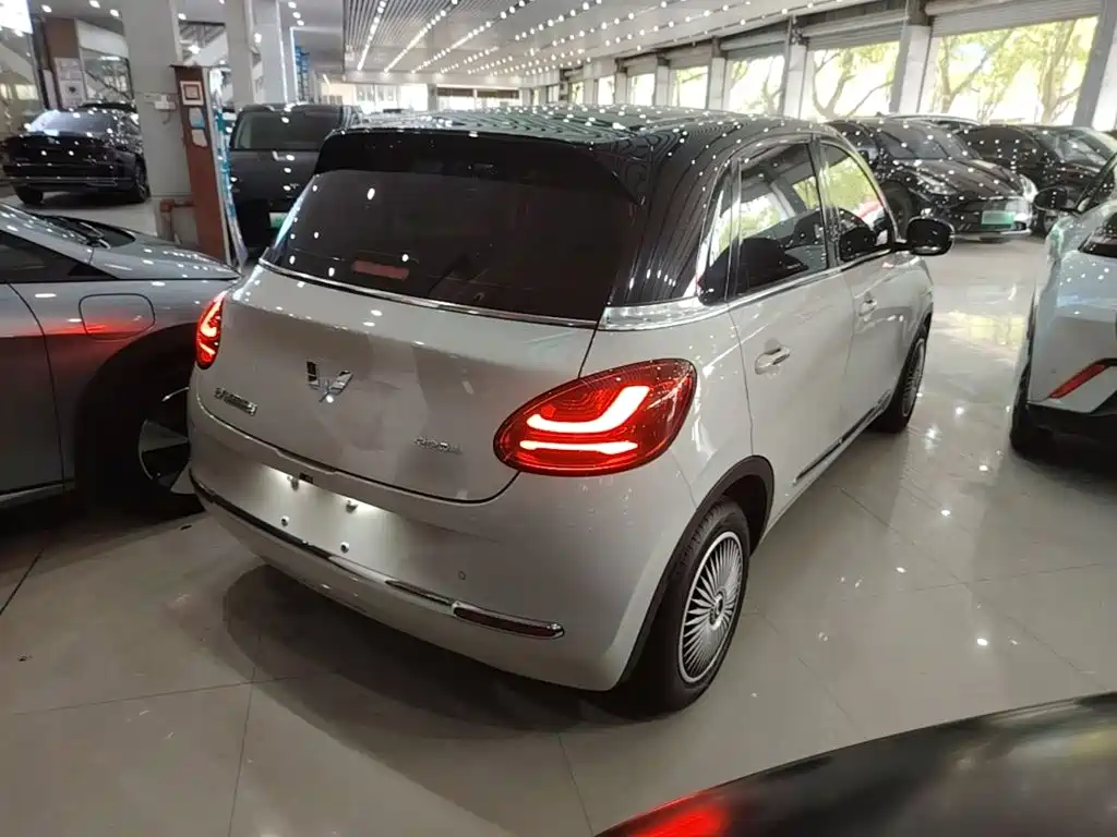 Wuling Binguo 2023 333km Enjoy +
