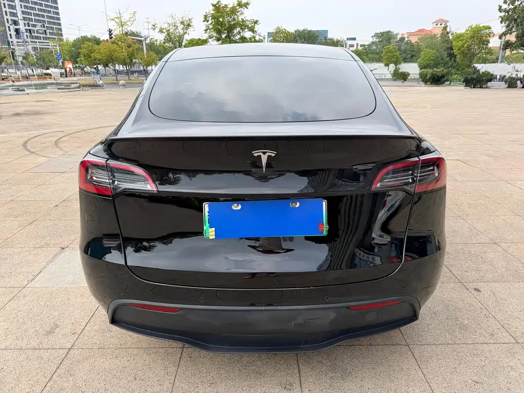 Tesla Model Y — миниатюра 6