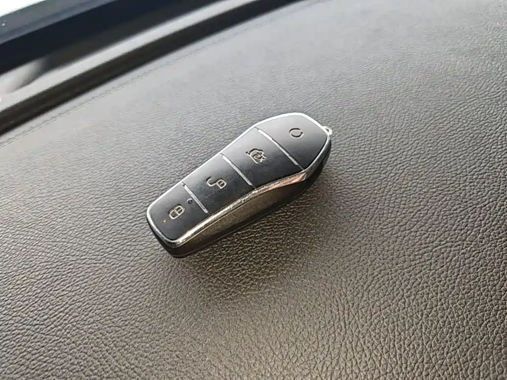 BYD Qin Plus PLUS 2024 DM-i 55KM Lead