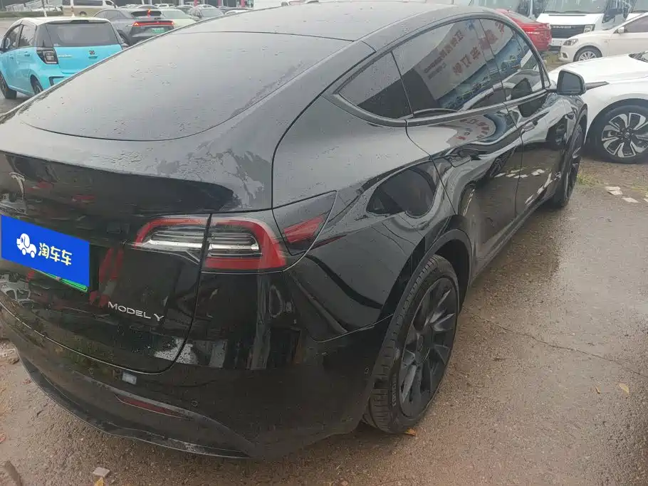 Tesla Model Y — миниатюра 3