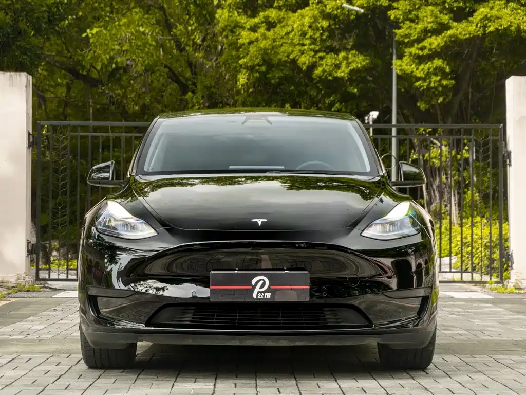 Tesla Model Y — миниатюра 2