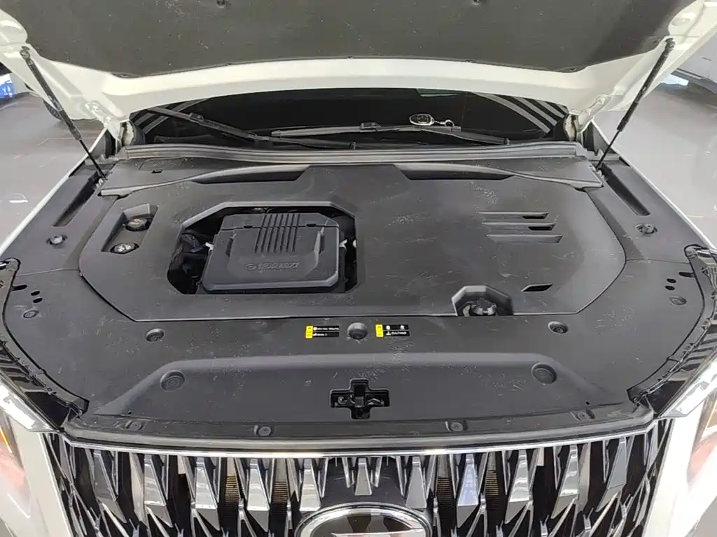 GAC Motor Trumpchi GS8 — миниатюра 20