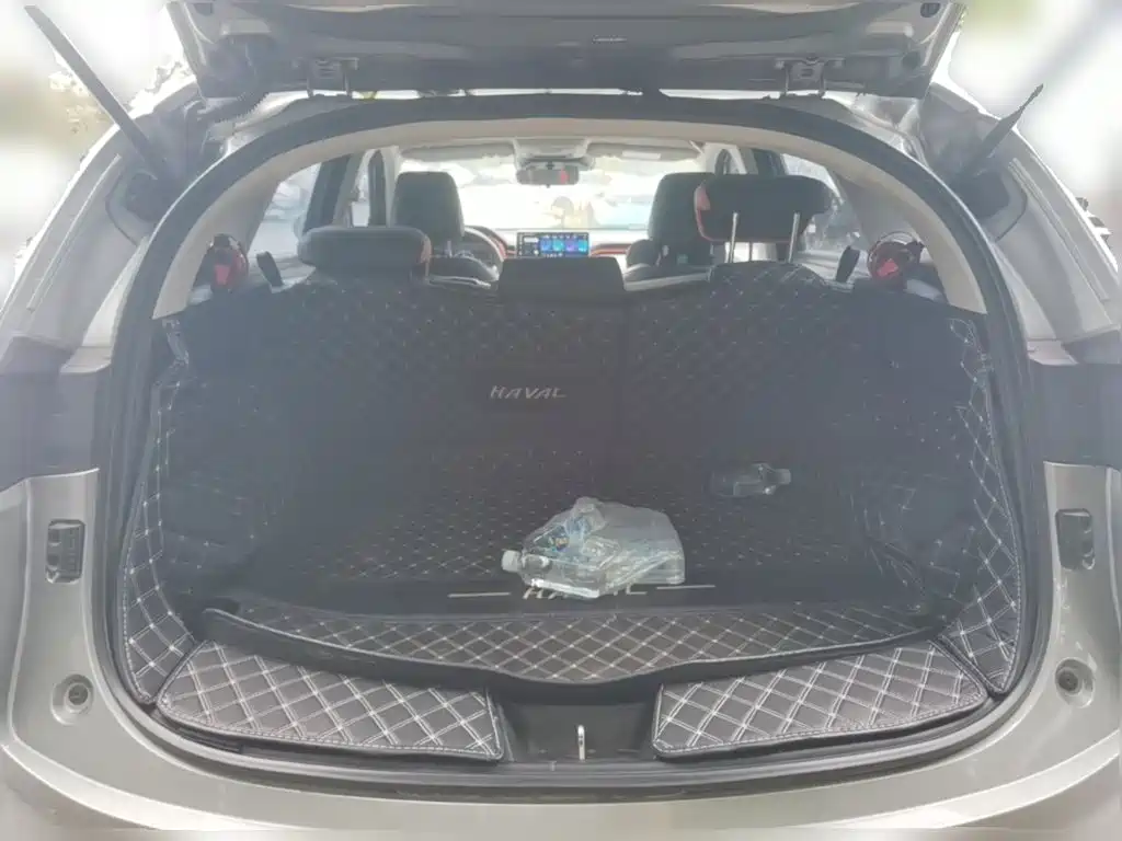 Haval Chitu — миниатюра 24