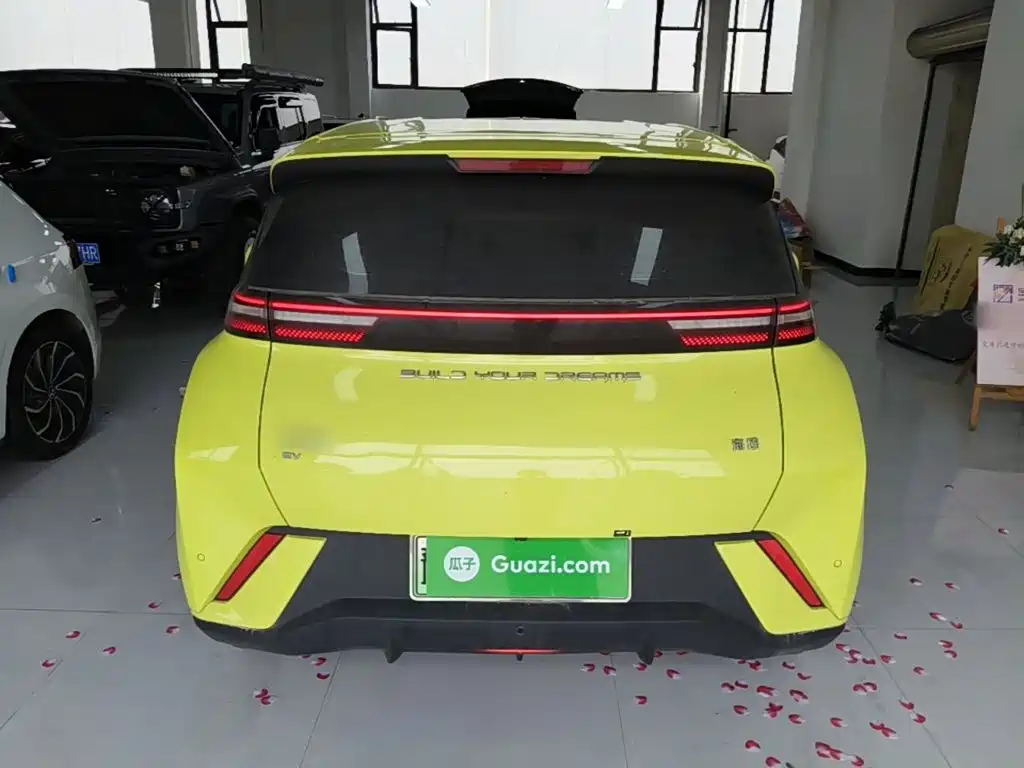 BYD Seagull 2023 Flying
