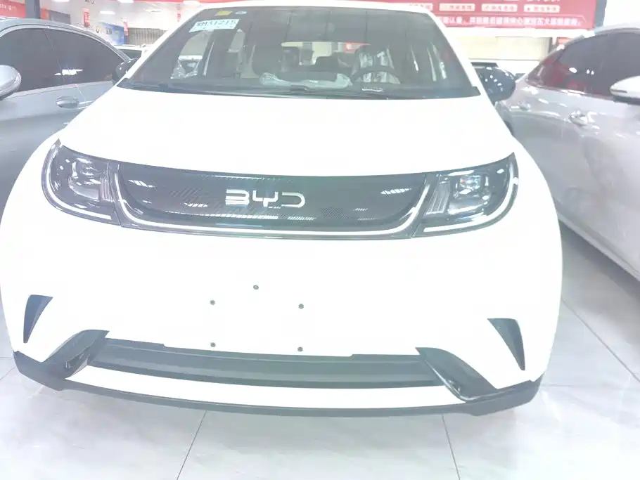 BYD Dolphin — миниатюра 2