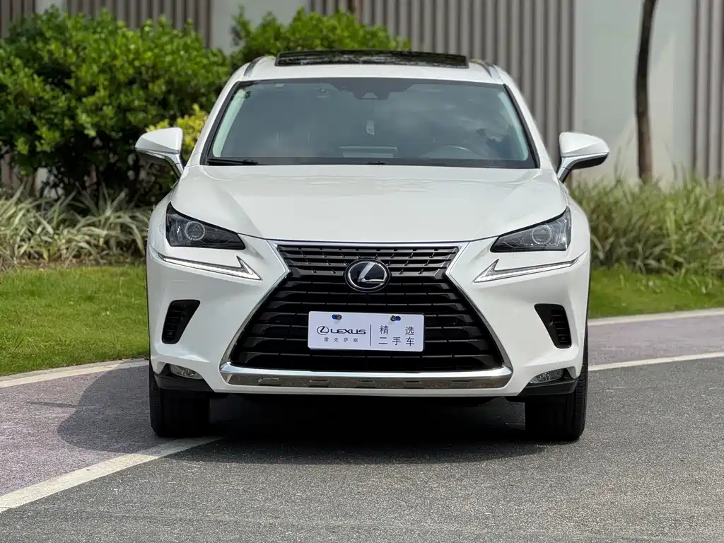 Lexus NX — миниатюра 2