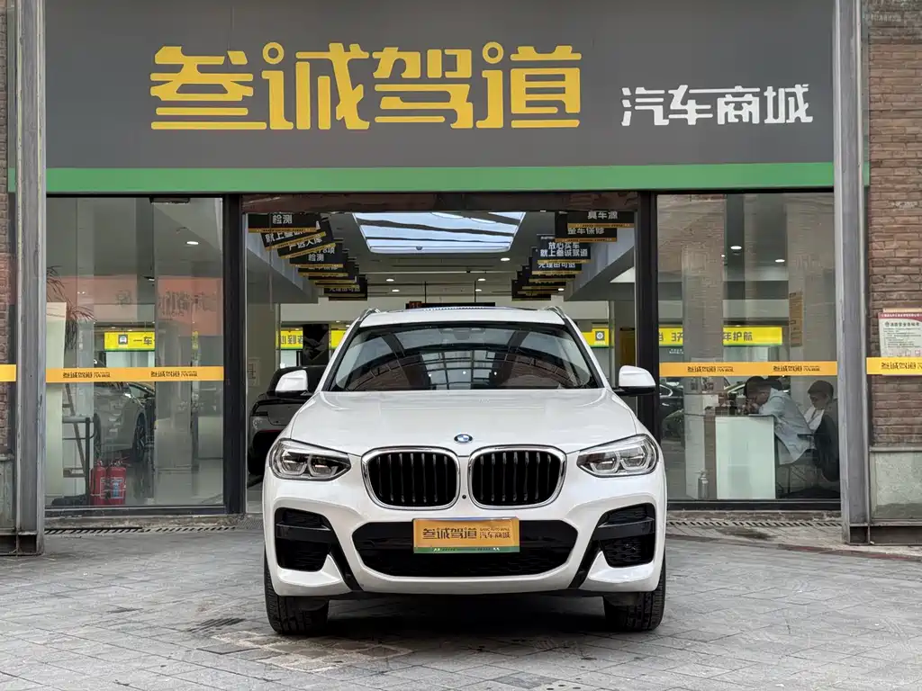 BMW X3 — миниатюра 2
