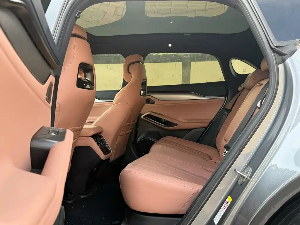 BYD L EV — миниатюра 6