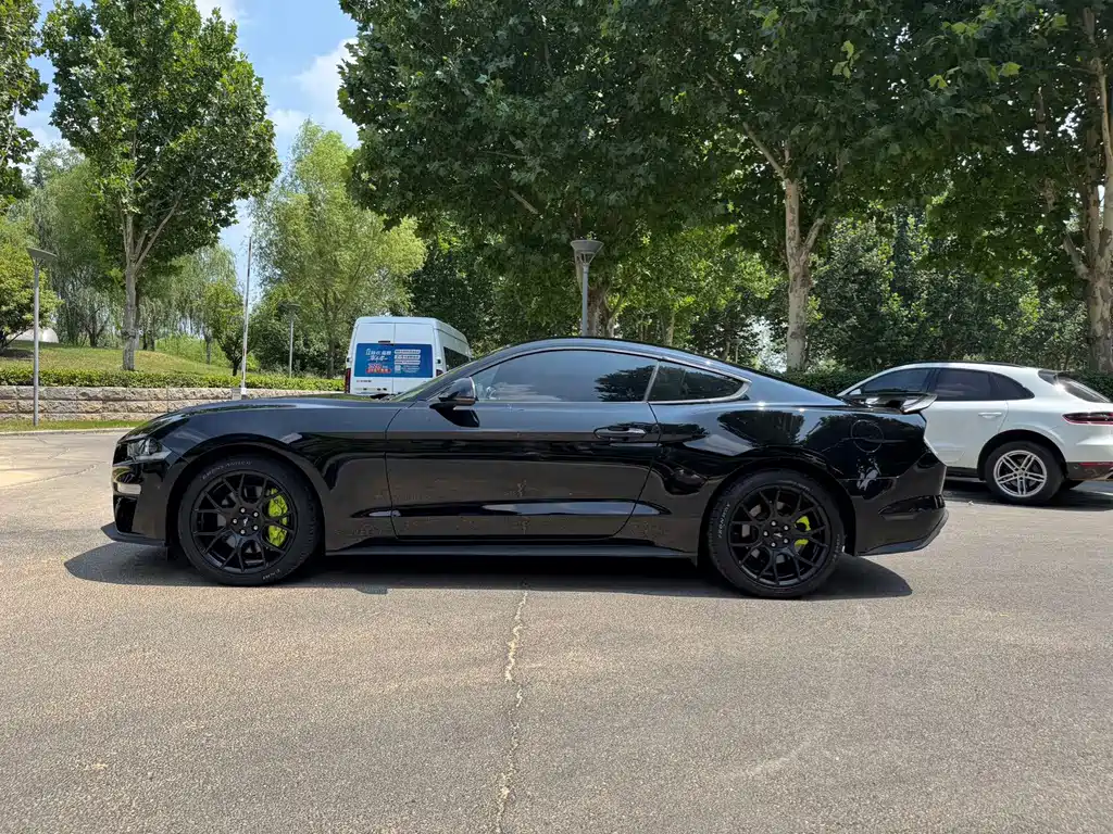 Ford Mustang — миниатюра 6
