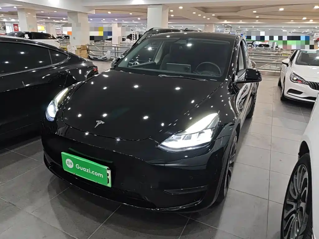 Tesla Model Y — миниатюра 2