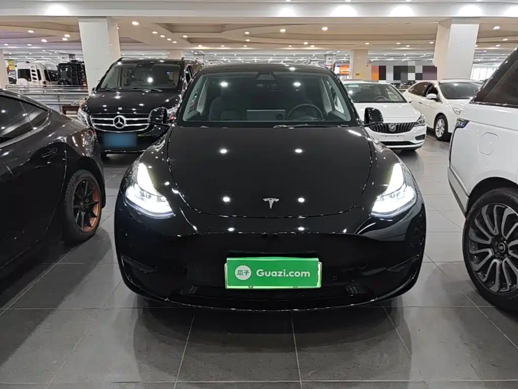 Tesla Model Y — миниатюра 3