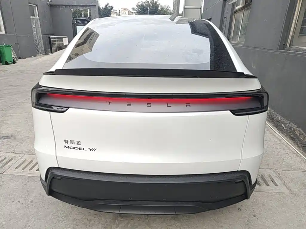 Tesla Model Y — миниатюра 6