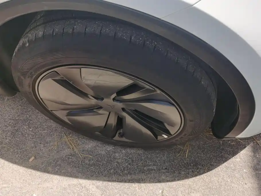Tesla Model Y — миниатюра 6
