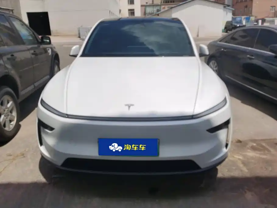 Tesla Model Y — миниатюра 2