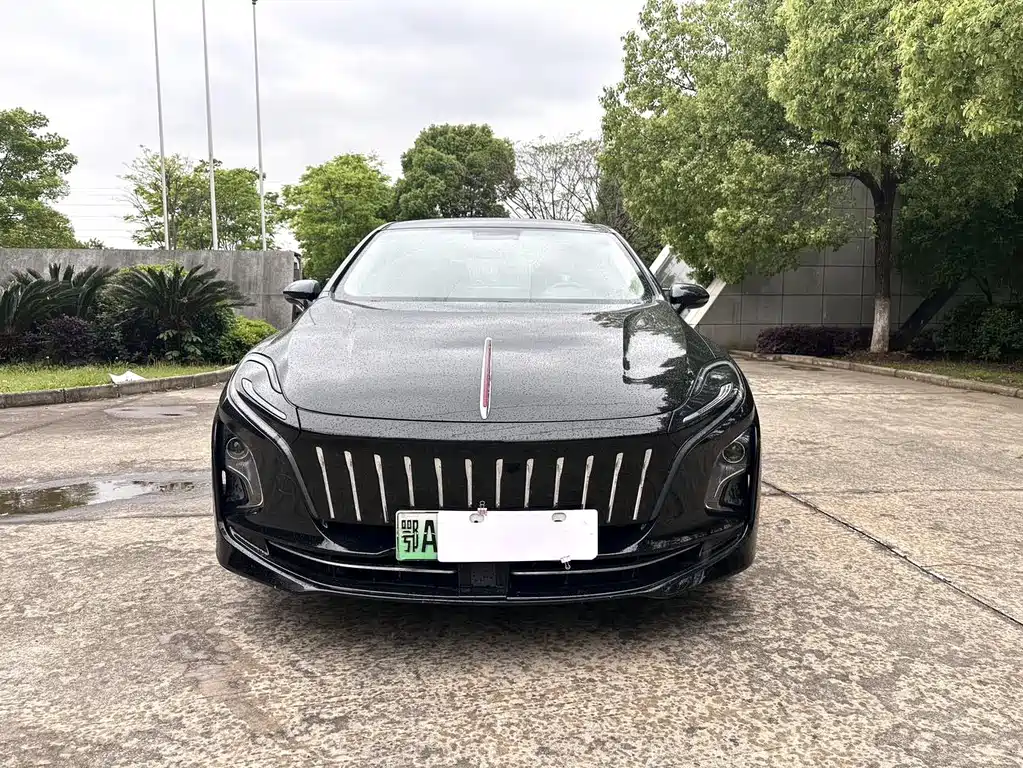 Hongqi Hongqi E-QM5 — миниатюра 2