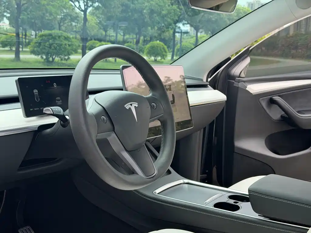 Tesla Model Y — миниатюра 16