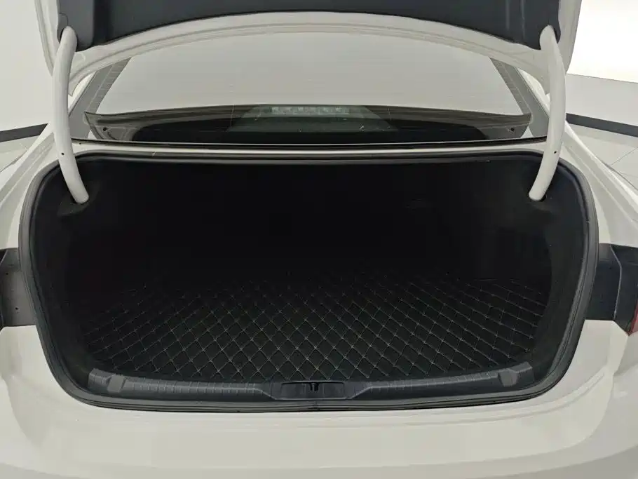 Volkswagen Lamando — миниатюра 4