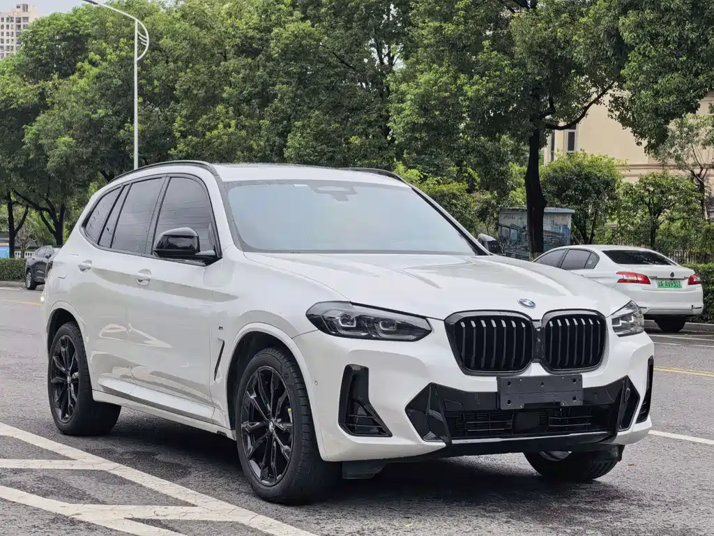 BMW X3 — миниатюра 3