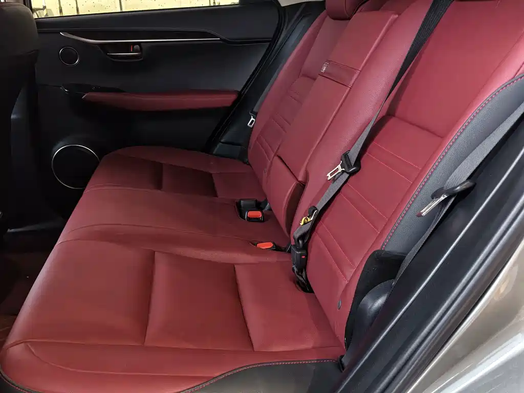 Lexus NX — миниатюра 24