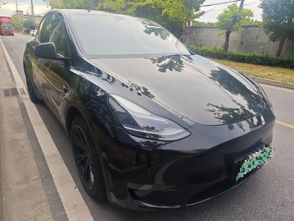 Tesla Model Y — миниатюра 3
