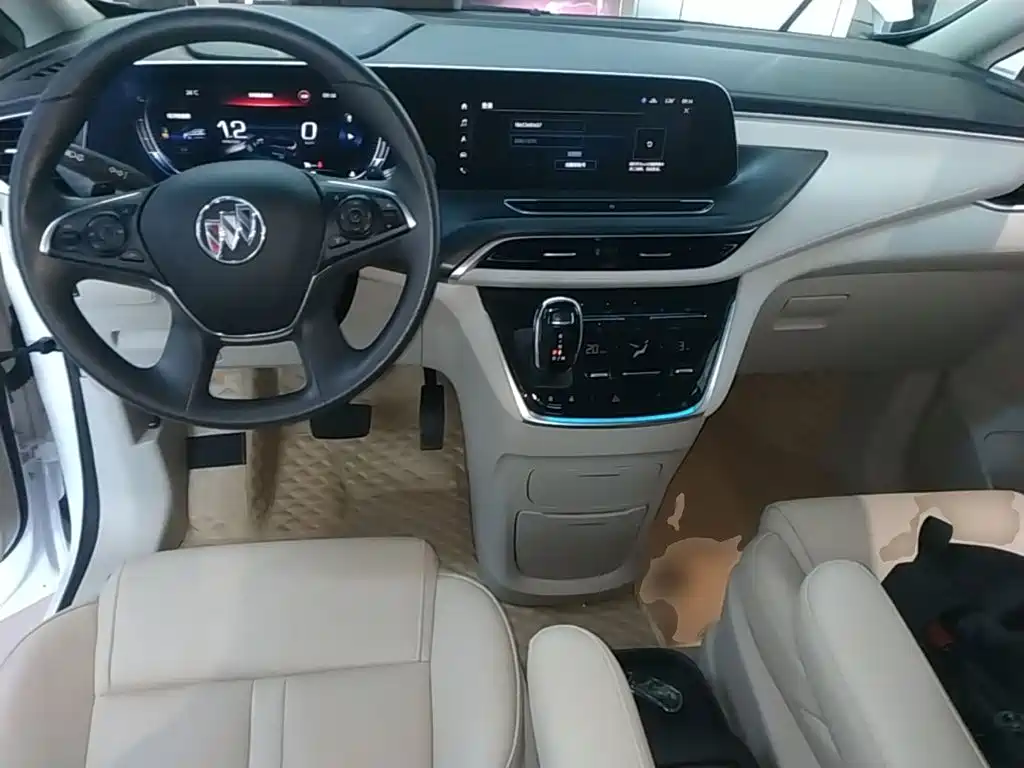 Buick GL8 — миниатюра 10