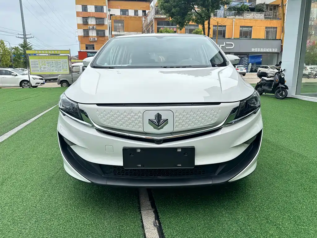 RUILAN AUTOMOBILE MAPLE LEAF 80V