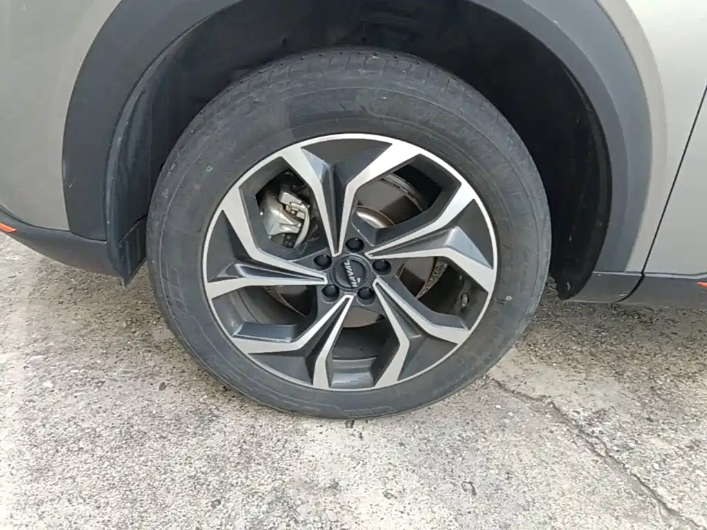 Haval Shenshou — миниатюра 23
