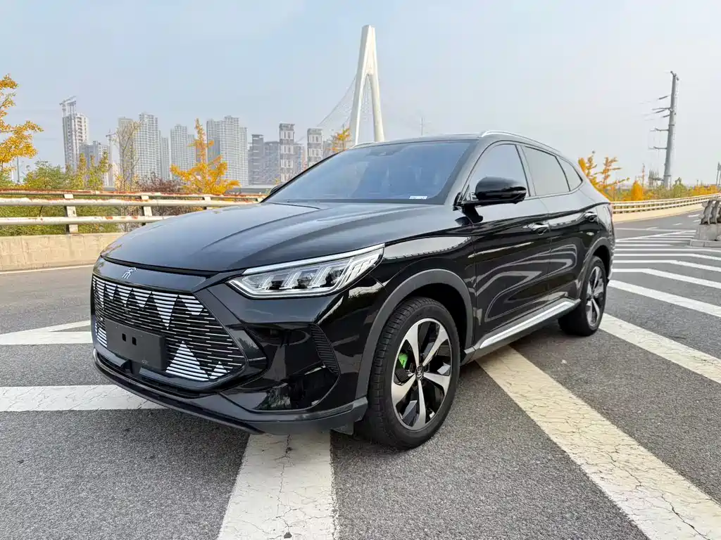 Byd PLUS New Energy 2022