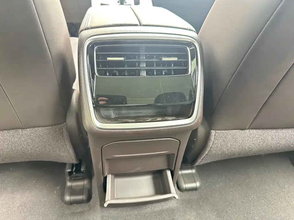 RUILAN AUTOMOBILE MAPLE LEAF 80V