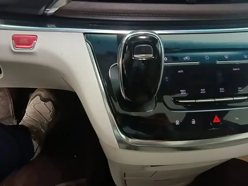 Buick GL8 — миниатюра 14