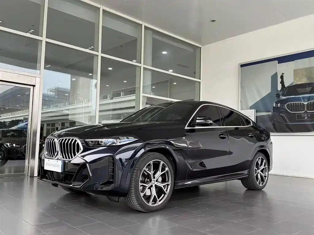 BMW X6 2025