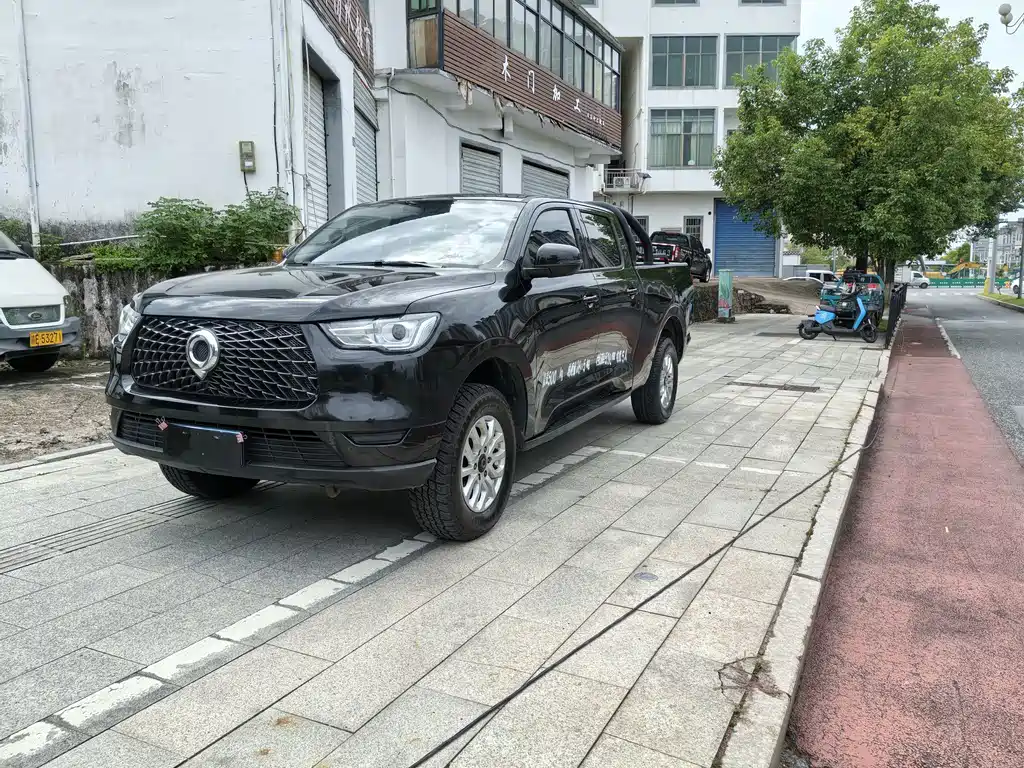 2020 Great Wall Pao - zdjęcie 1 z 10
