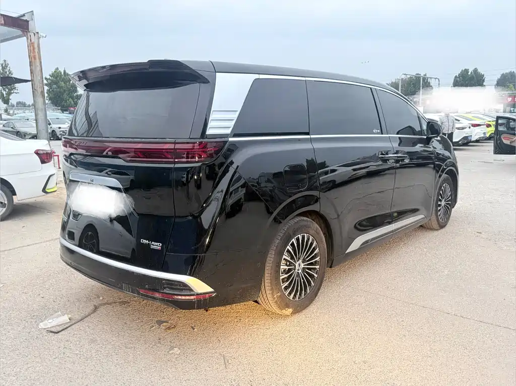 Denza Denza D9 — миниатюра 11