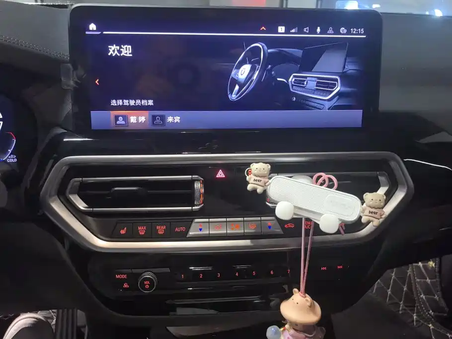 BMW X3 — миниатюра 13