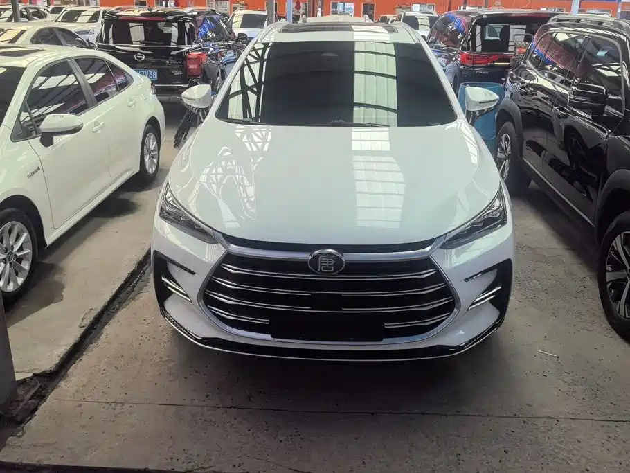 BYD Tang New Energy — миниатюра 2