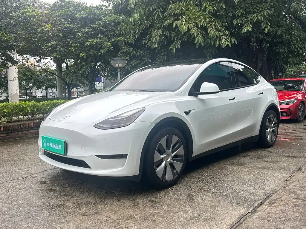 Tesla Model Y 2021